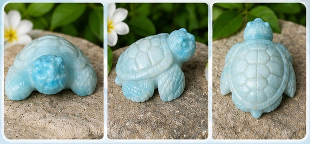 Larimar turtle 2