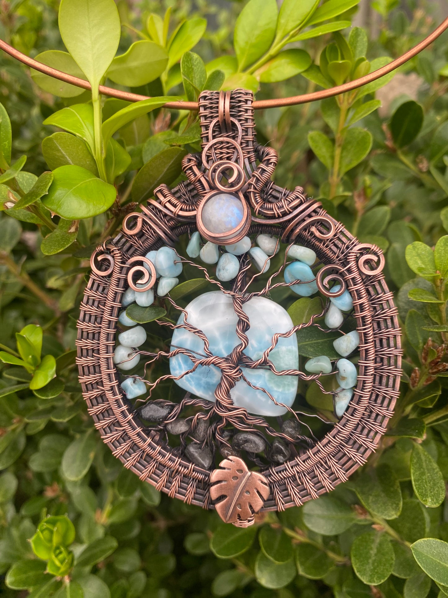 Maui - Larimar Tree