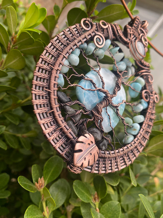 Maui - Larimar Tree
