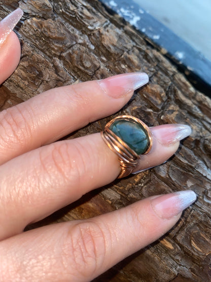 Whip Ring