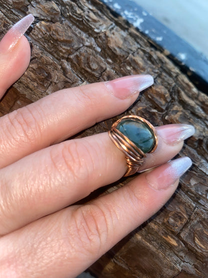 Whip Ring